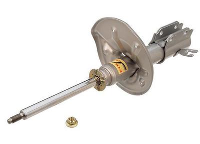 1996 Ford Escort Strut Assembly